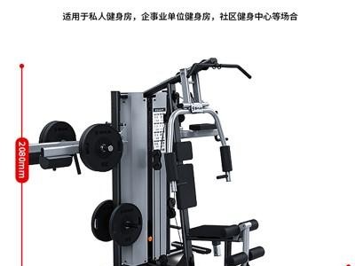 舒华三人站综合训练器SH-G5203-单位健身房器材_广西舒华体育专卖