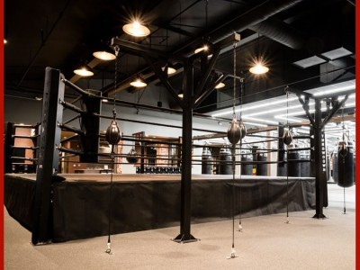 八角笼拳击擂台定制台式自由搏击笼 MMA综合格斗八角笼厂家直销